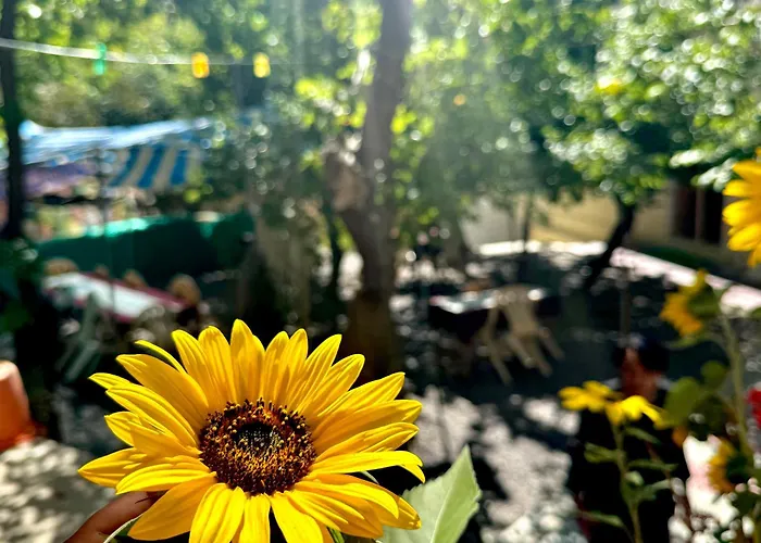 Dragon Guesthouse And Garden Restaurant Lamayuru
