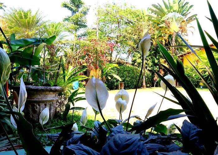Brazish Pousada Paraty
