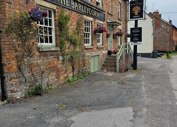 The Barleycorn Hotel Marlborough