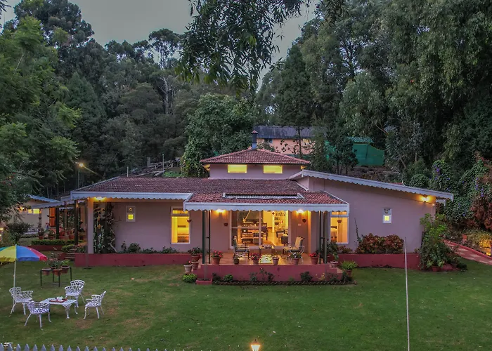 Rayne Forest Kotagiri