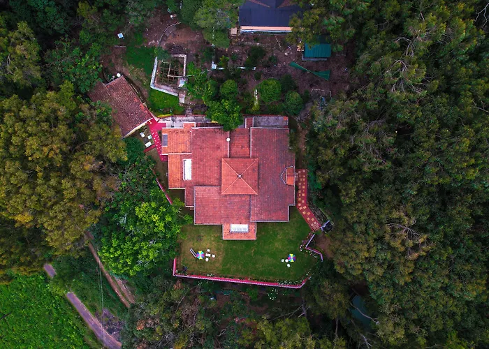 Rayne Forest Kotagiri