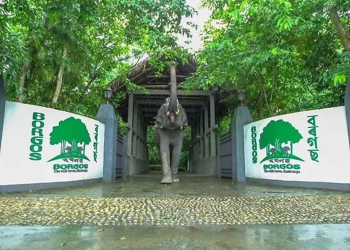 Resort Borgos Kaziranga