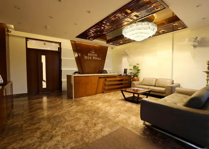 Hotel Blue Pearl Chikmagalur