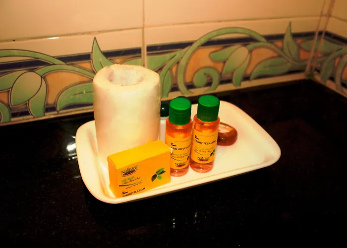 Fabhotel Himanshi Udaipur