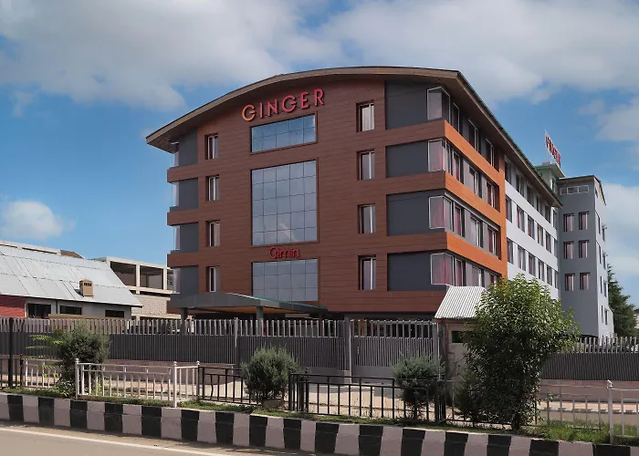 Ginger Srinagar Barzulla Near Srinagar Airport Hotel