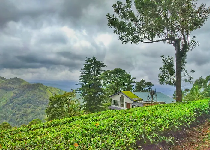 Mount Valley Resort - A Secluded Getaway Munnar