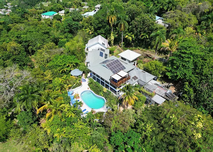 Lf Jungle Retreat Hotel Port Antonio