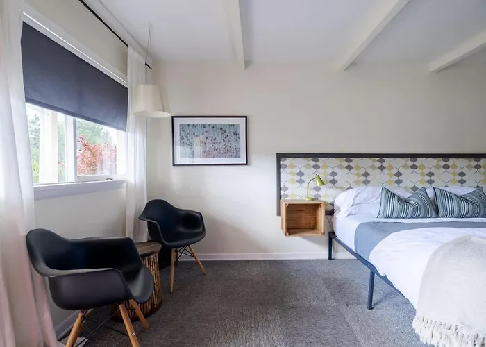 The Billy Motel Pet Friendly Room With Charm Davis