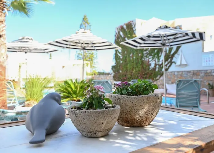 Villa Iokasti Hersonissos 