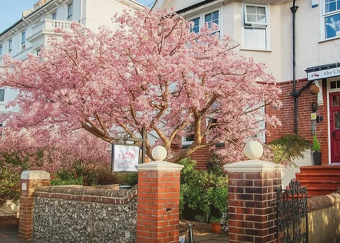 The Cherry Tree B&B Eastbourne