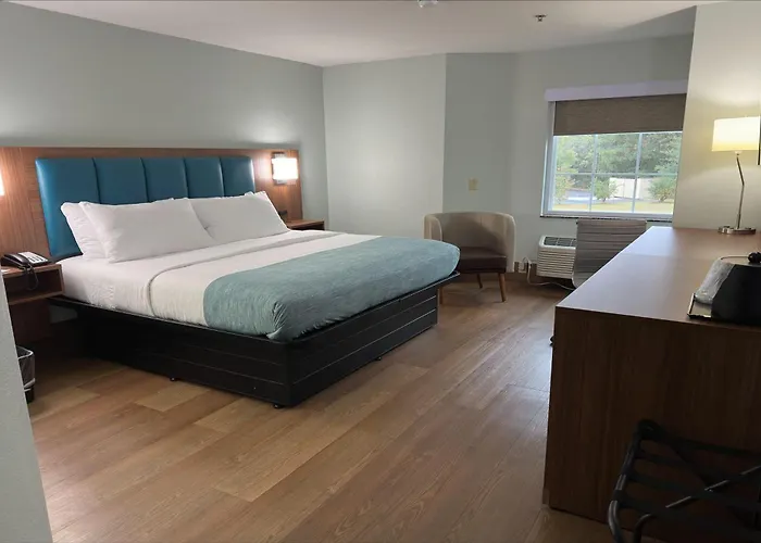 Wingate By Wyndham Macon I-475 Hotel