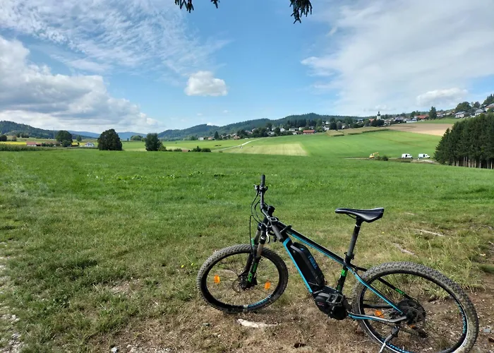 Hotel-Gasthof Zum Oberen Wirt Regen