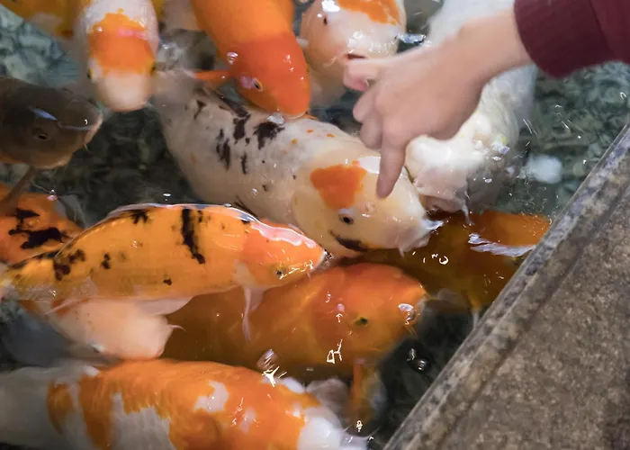 Arima Onsen Gekkoen Yugetsusanso Kobe