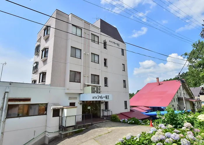 Hotel Chalet Ryuo Yamanouchi 