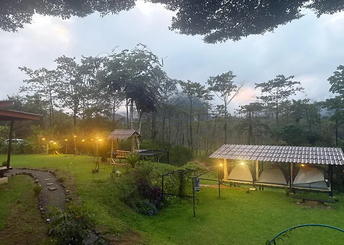 Khao Sok Hill Top Resort Khao Sok National Park