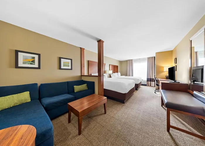Comfort Inn & Suites West - Medical Center Rochester