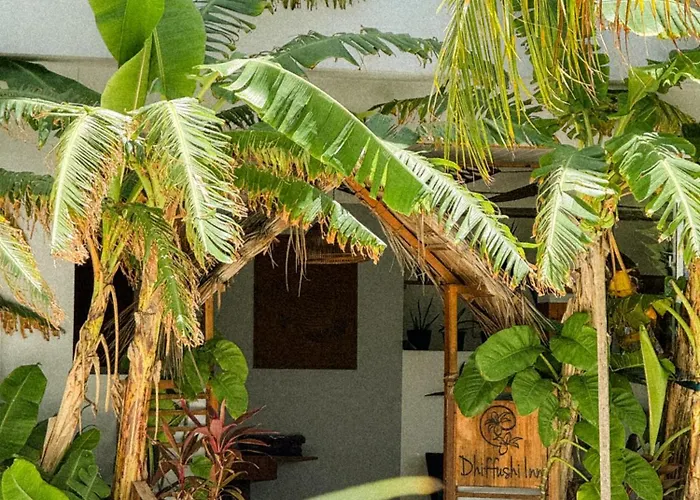 Dhiffushi Inn
