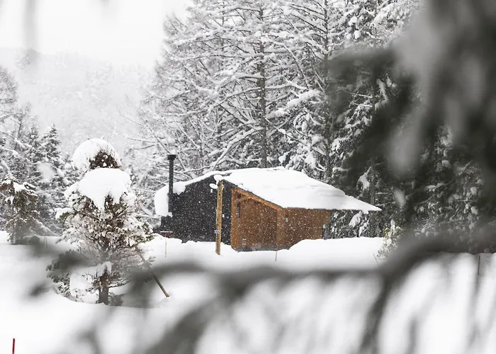 Earthboat Hakuba Hotel