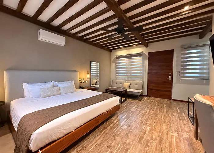 Hotel Arista 1026 San Luis Potosí