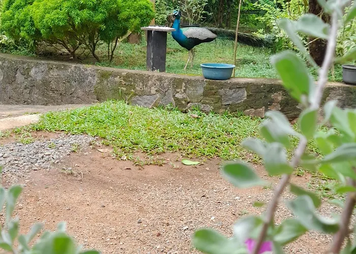 Tamarind House Hotel Hikkaduwa