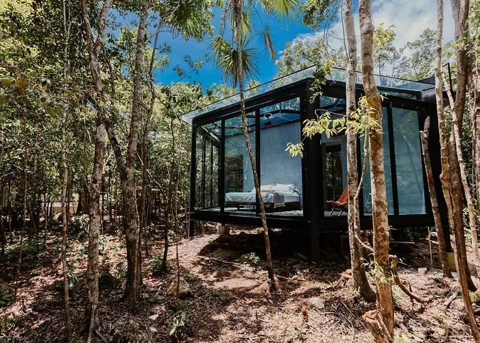 Sota Human Space Puerto Morelos