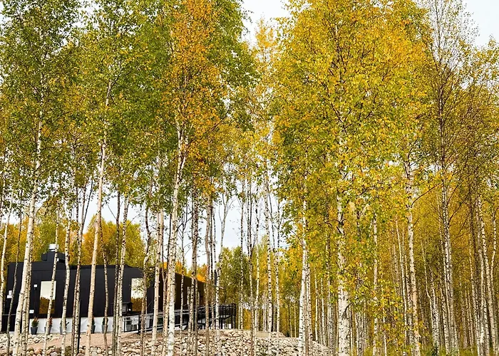 Silver Birch Resort Lapland Rovaniemi