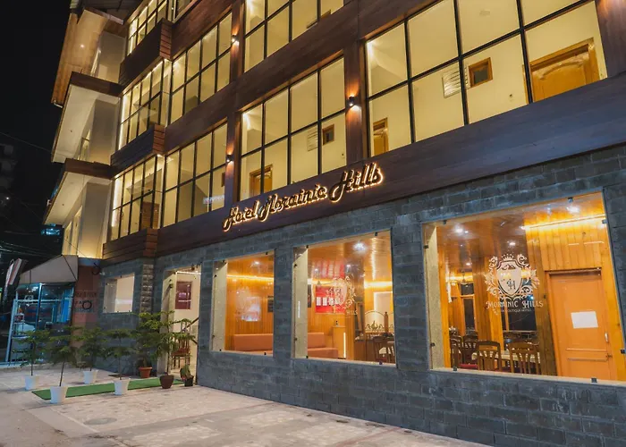 Hotel Morainic Hills Mall Road Bhagsunag McLeod Ganj