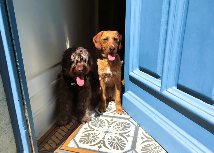 C'est une maison bleue - a blue lodge in Bordeaux