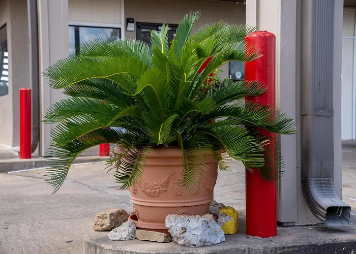 Regency Inn And Suites Bay City, Texas