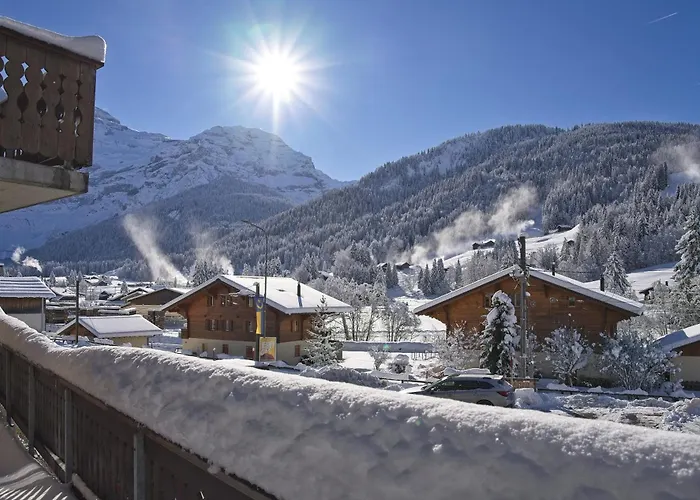 Hotel Le Chamois Les Diablerets