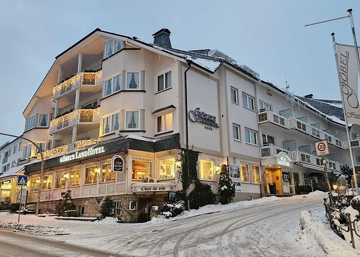 Goebels Landhotel Willingen 