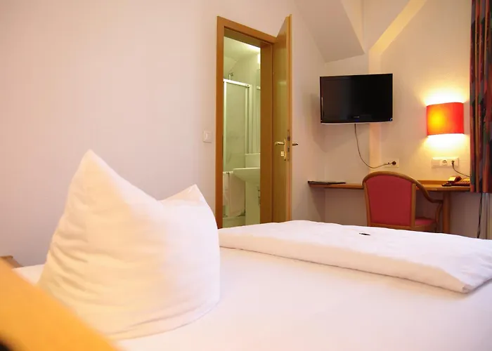 Hotel Park Eckersbach Zwickau