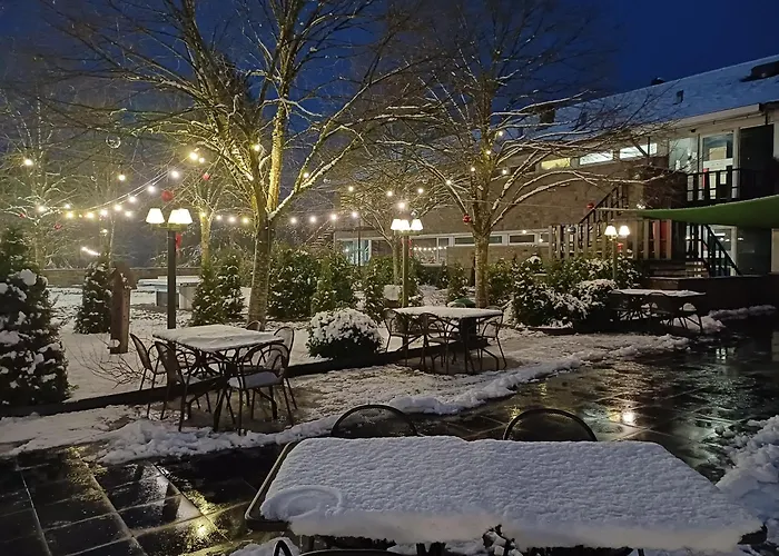 Mont-Des-Pins Hotel Durbuy
