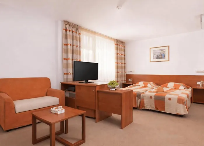 Hotel Fenix Napospart