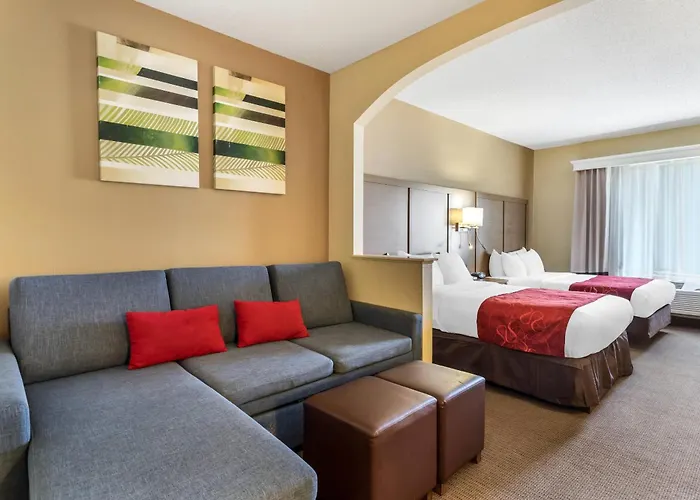 Comfort Suites Bush Intercontinental Airport Houston