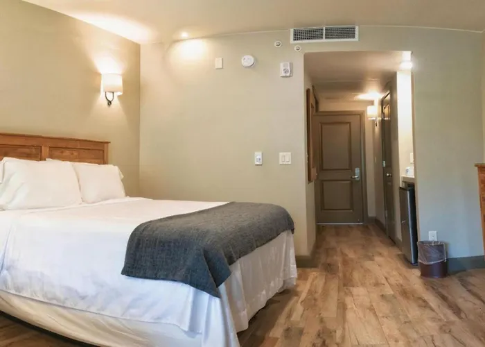 Driftwood Lodge Springdale