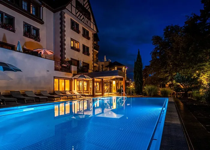 Hotel Spa Restaurant Domaine du Moulin Ensisheim