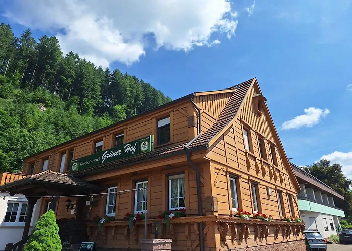 Hotel Grüner Hof Zell am Harmersbach