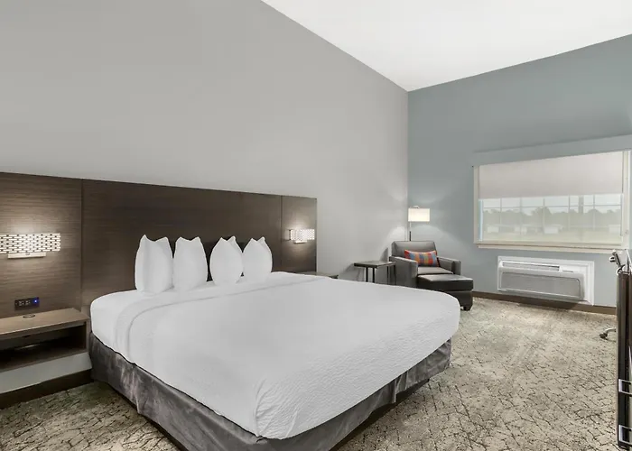 Best Western Plus New Caney Inn & Suites