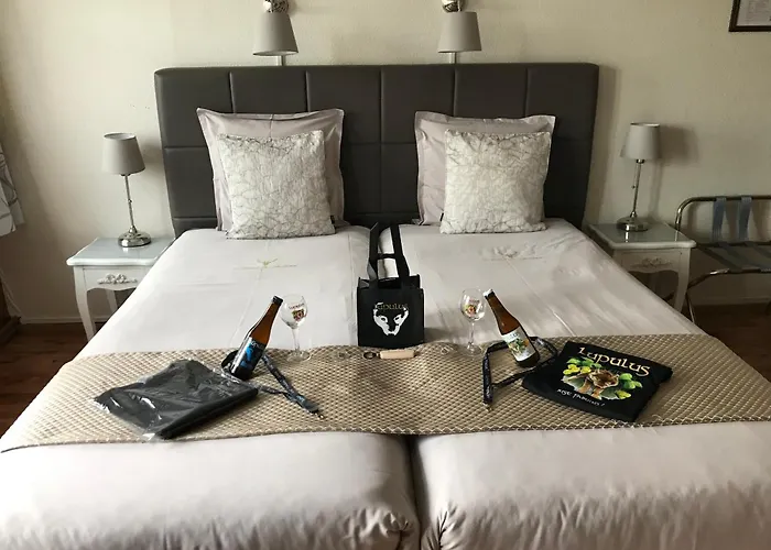 Hotel Des Ardennes Verviers