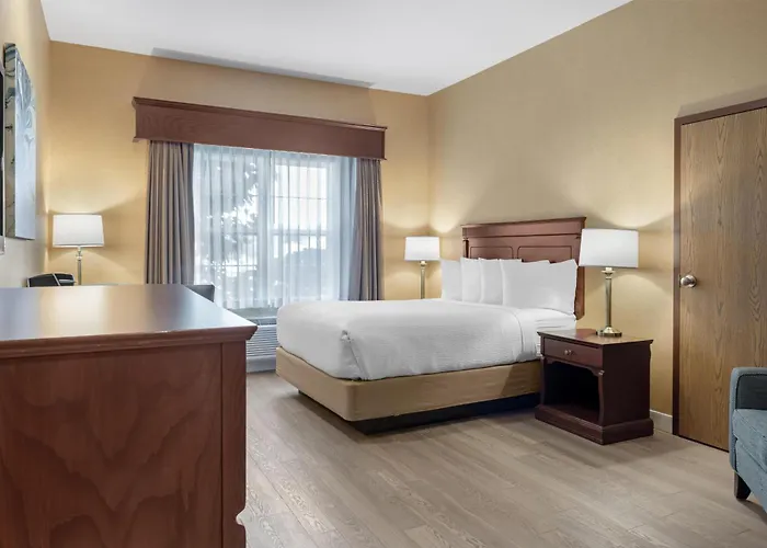 Best Western Plus Fredericton Hotel & Suites