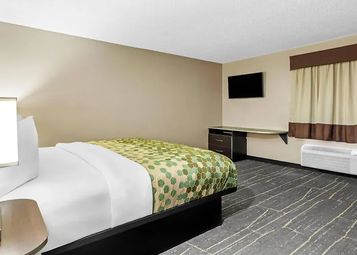 Rodeway Inn Webster
