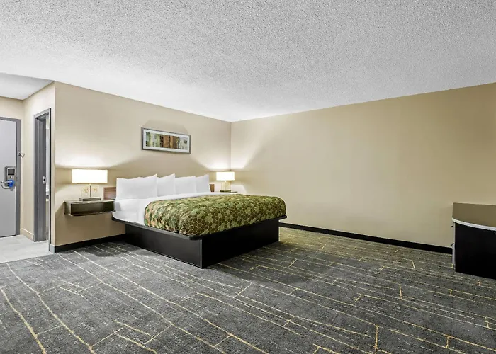 Rodeway Inn Webster