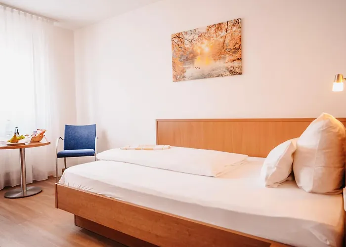 Hotel & Restaurant Goldener Pflug Ludwigsburg
