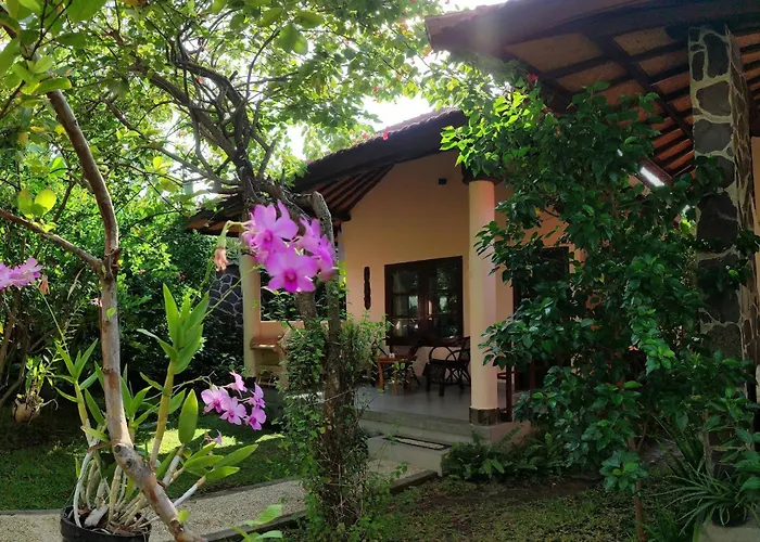 1000 Dream Bungalow Lovina 