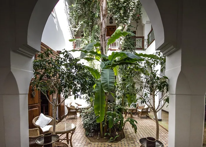 Riad Les Bougainvilliers Marrakesh