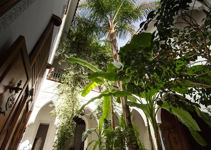 Riad Les Bougainvilliers Marrakesh