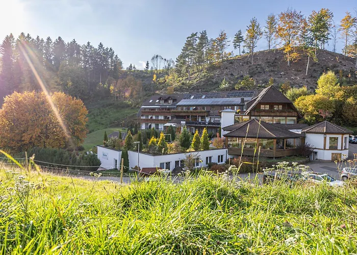 Hotel Kaeppelehof Lauterbach 