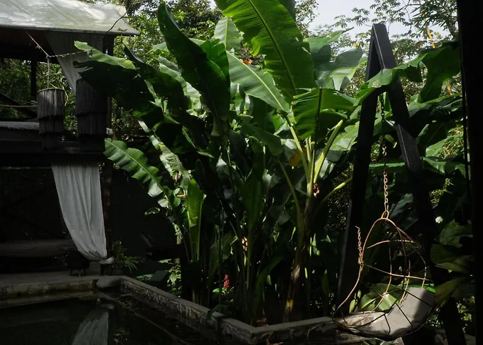 Canaima Chill House Playa Santa Teresa 