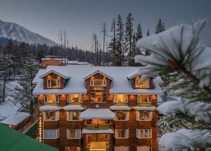 Hotel Pine Spring Gulmarg